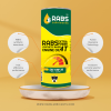 RABS Extra Power 4T 10w-30